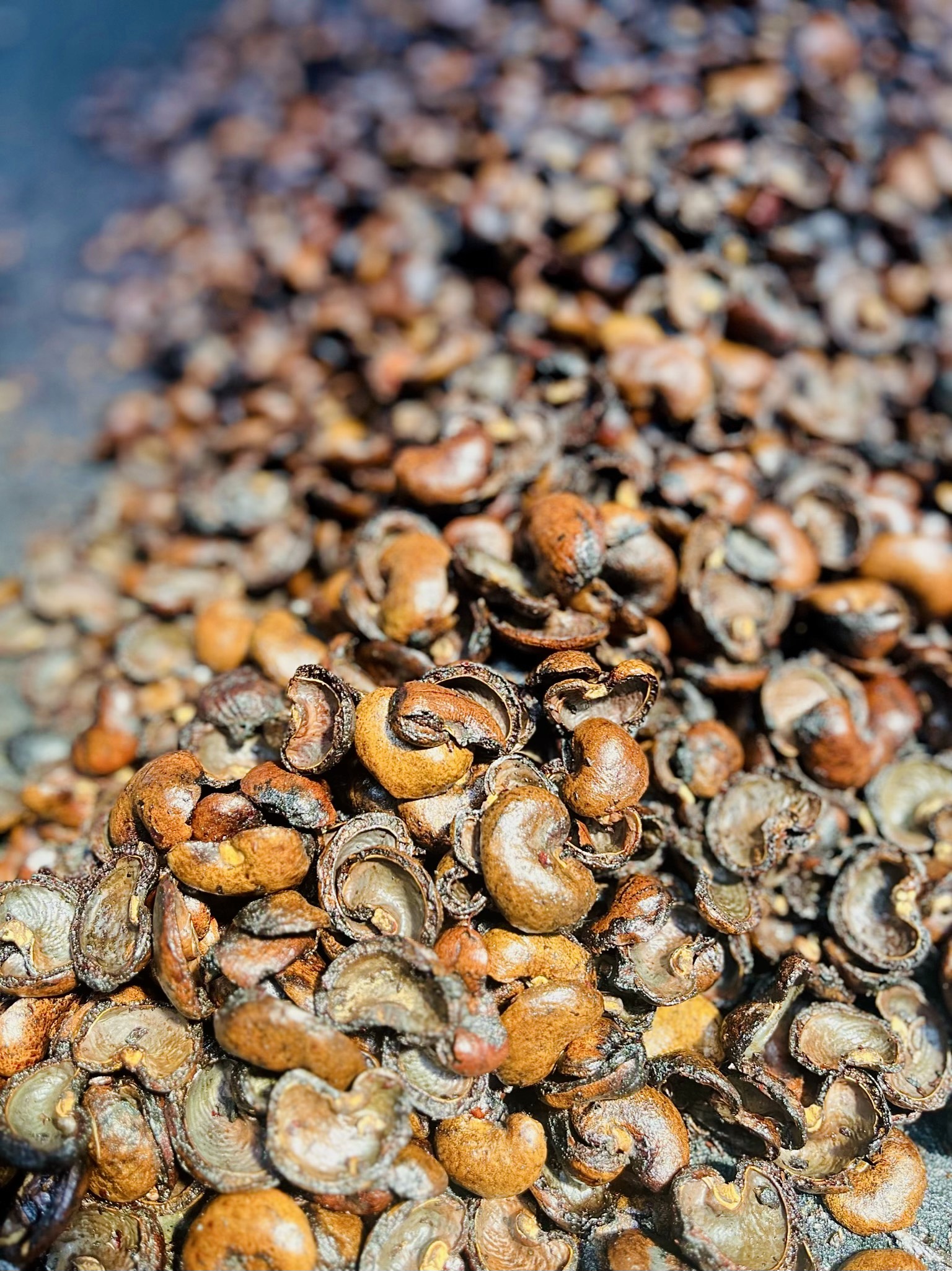 BIOFULE RESIDUE CASHEW