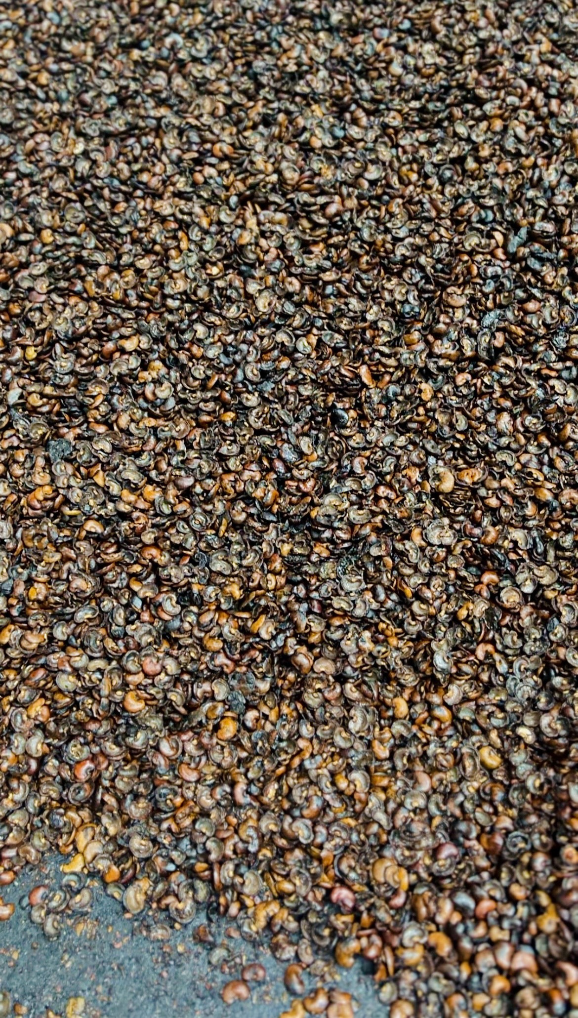 BIOFULE RESIDUE cashew shell